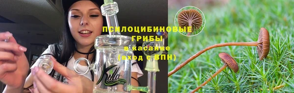 мет Армянск