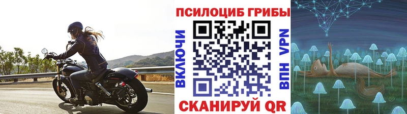 Галлюциногенные грибы прущие грибы  купить  цена  Рассказово 